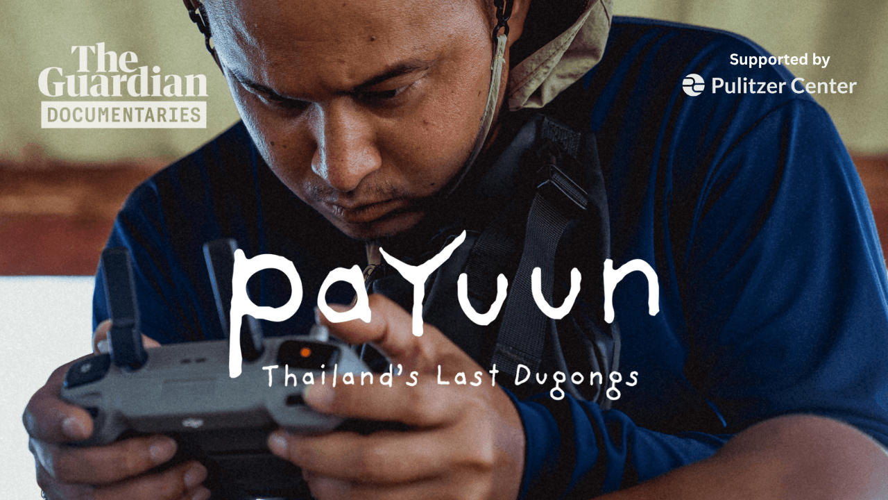 Payuun: Thailand's Last Dugongs
